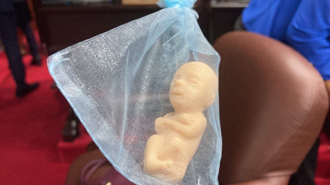 Colocación de muñeco que simula un feto en curules de diputados genera controversia en el hemiciclo