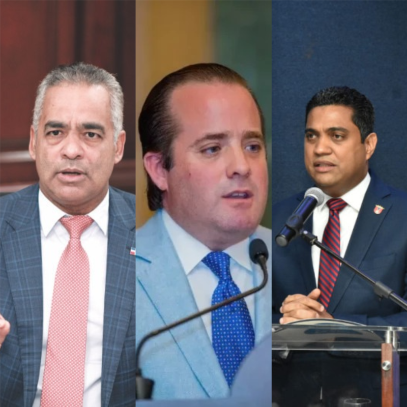 Abinader continúa armando el gabinete de su segundo Gobierno