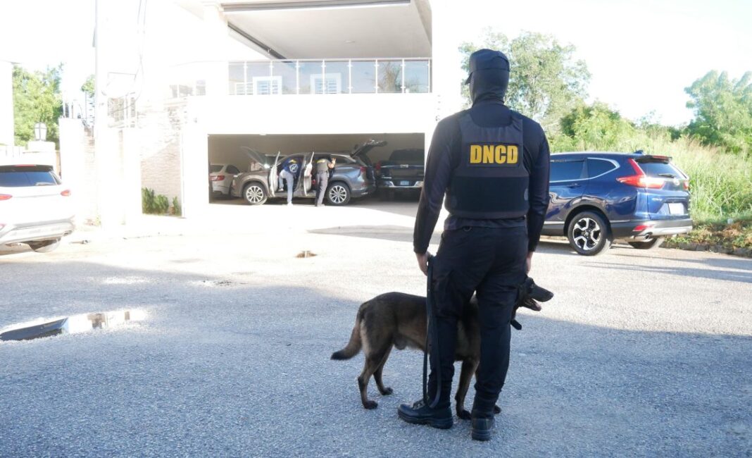 Desmantelan red internacional de narcotráfico mediante operación Búfalo NK