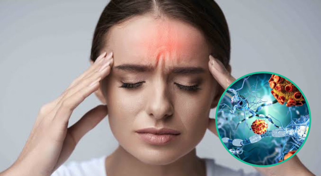 Todo lo que debes saber sobre la meningitis y sus principales factores de riesgo Todo lo que debes saber sobre la meningitis y sus principales factores de riesgo